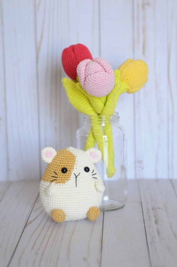 GuineaPig-Tulips Tulip, Tulips